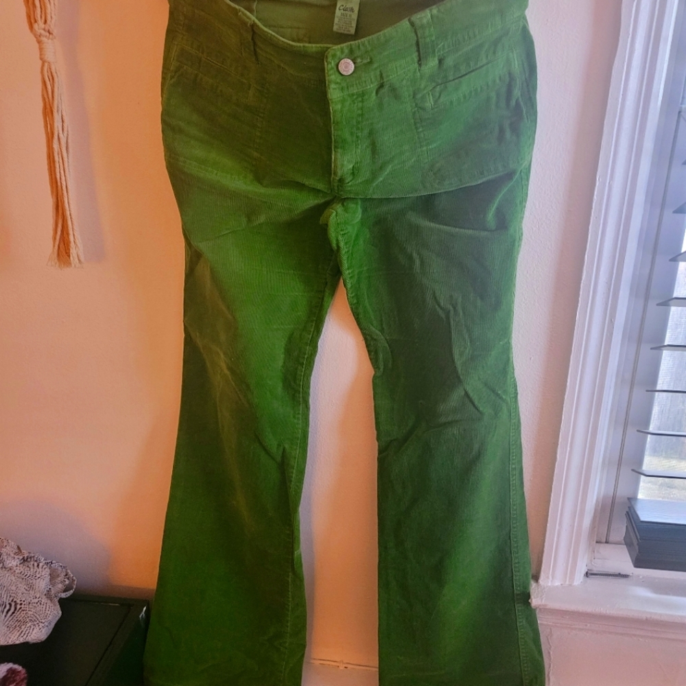 Pant